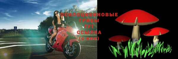 соль ск Зеленодольск