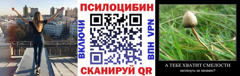 Купить закладки  Далматово  Галлюциногенные грибы мицелий 